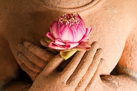 64901468 - lotus in the hands of sandstone buddha.